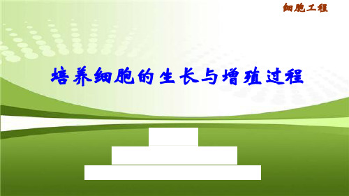 2.2 培养细胞的生长与增殖过程