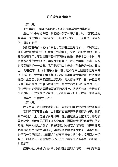 游竹海作文400字