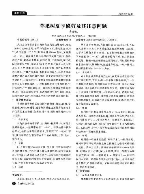 苹果树夏季修剪及其注意问题