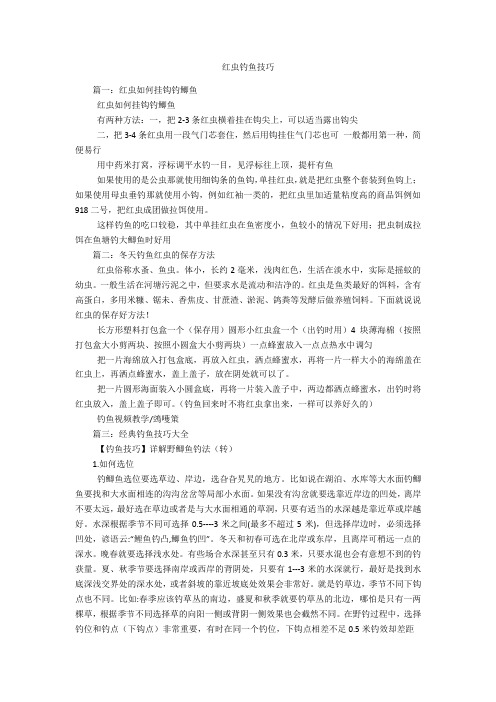 红虫钓鱼技巧