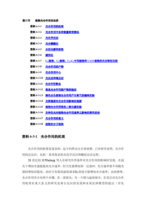 植物光合作用的实质课件苏教七级上3