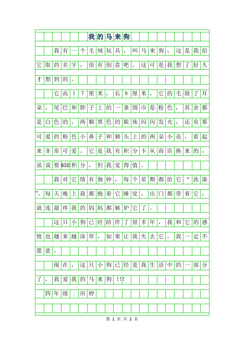 2019年四年级状物作文-我的马来狗300字