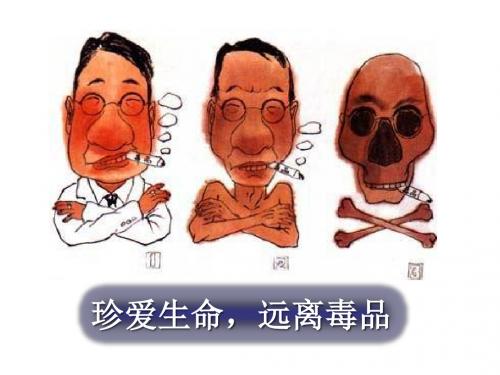 珍爱生命_远离毒品