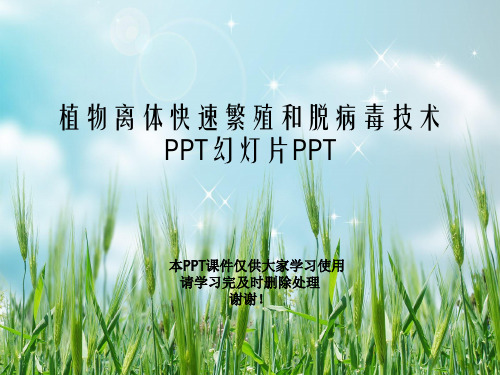 植物离体快速繁殖和脱病毒技术PPT幻灯片PPT