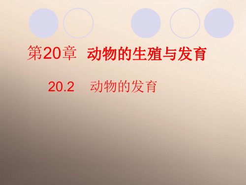 苏科版八年级上册生物20.2动物的发育课件(20张ppt)优秀课件