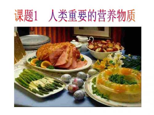 初三化学下学期人类重要的营养物质