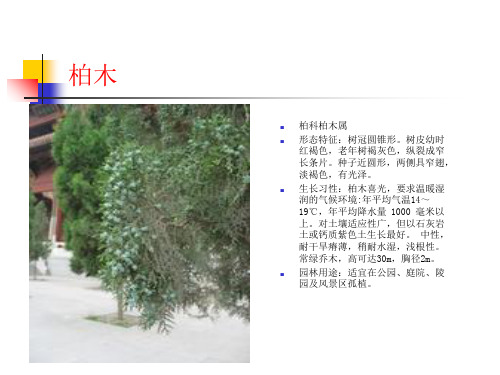 园林植物300种(4)42页