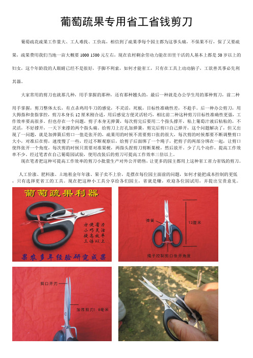 葡萄省工疏果剪刀介绍