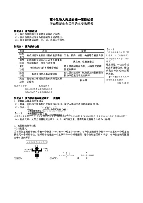 高中生物基础知识讲解：蛋白质是生命活动的主要承担者