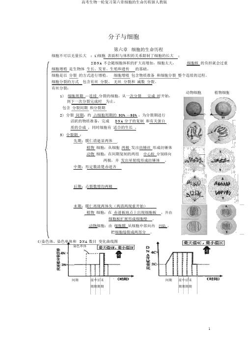 高考生物一轮复习第六章细胞的生命历程新人教版