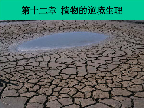 植物的抗性生理.