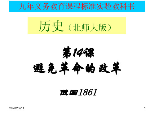 避免革命的改革【课件】【PPT教学课件