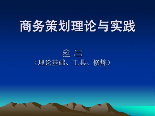 商务策划理论与实践