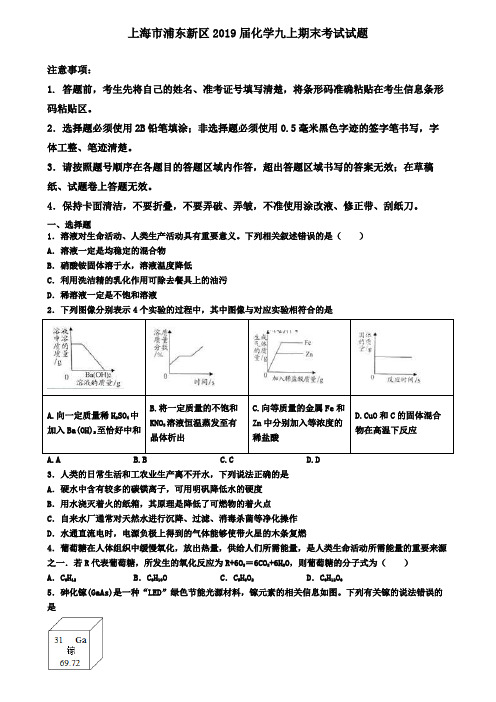 上海市浦东新区2019届化学九上期末考试试题