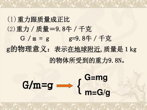 探究重力大小与质量的关系