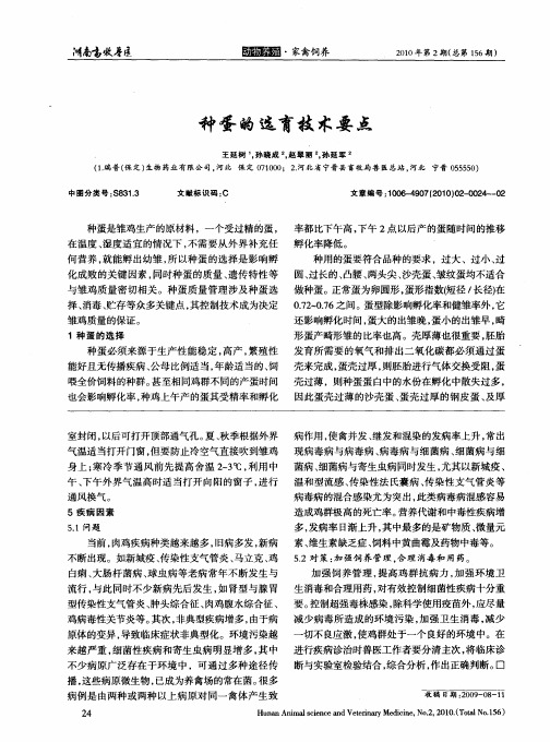 种蛋的选育技术要点