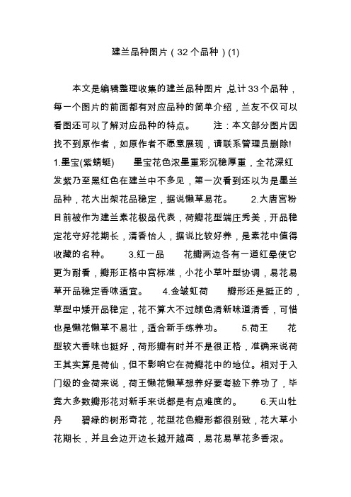 建兰品种图片(32个品种)