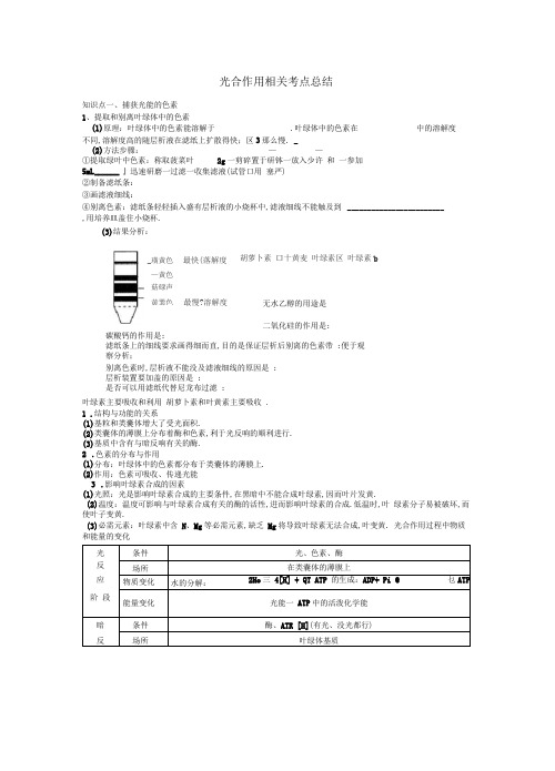 光合作用知识点归纳总结
