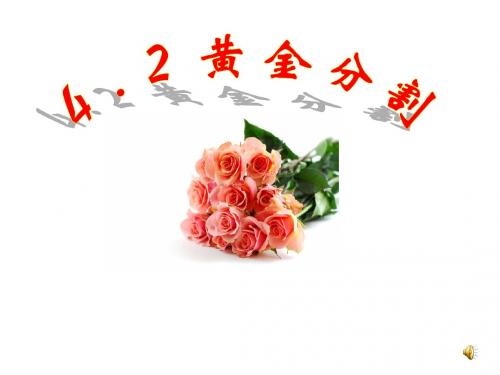 4.2 黄金分割 课件2(北师大版八年级下)