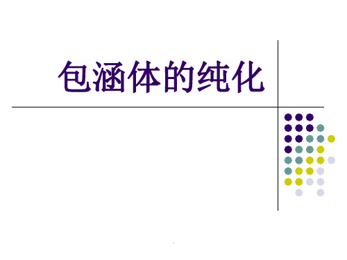包涵体