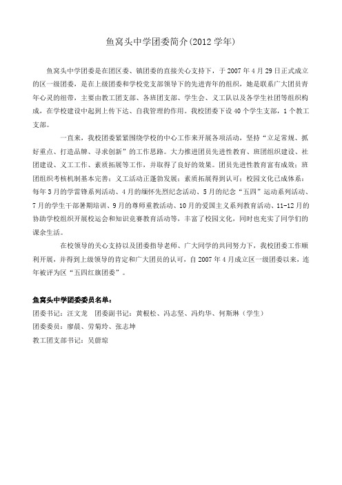 鱼窝头中学团委简介