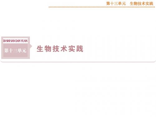 2015届《优化方案》高考生物(苏教版)一轮配套课件：第41讲 微生物的培养和应用