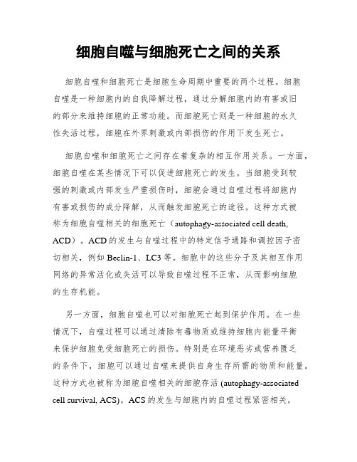 细胞自噬与细胞死亡之间的关系