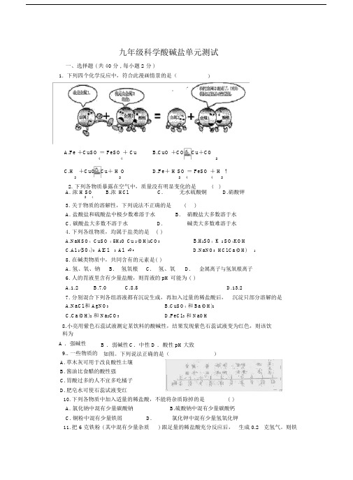 初中九年级的科学酸碱盐单元复习测试.doc.doc