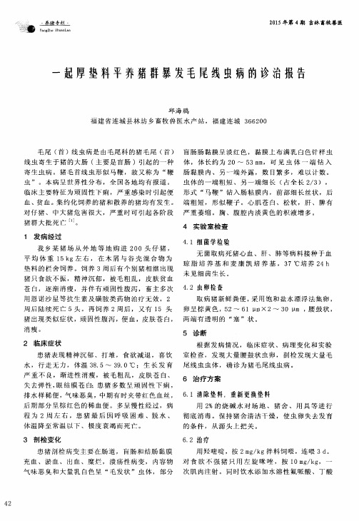 一起厚垫料平养猪群暴发毛尾线虫病的诊治报告