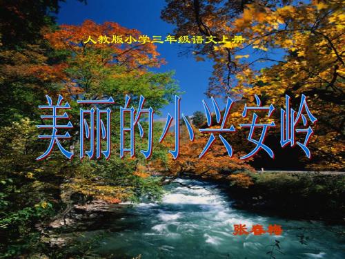 美丽的小兴安岭PPT2