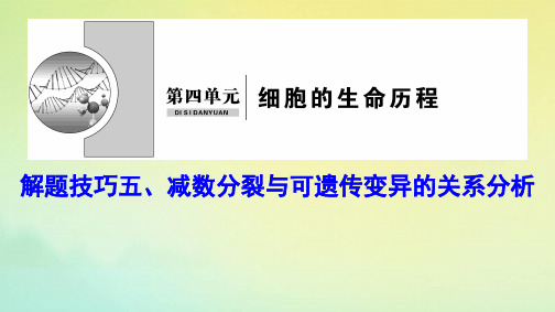新课标高考生物一轮总复习解题技巧五减数分裂与可遗传变异的关系分析