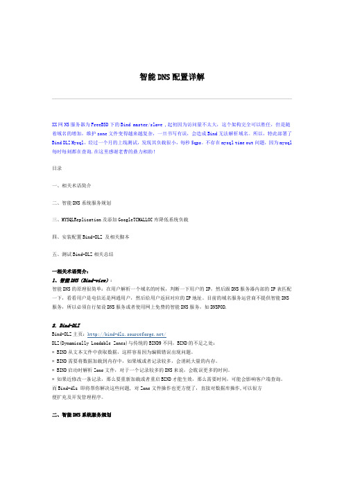 智能DNS配置详解
