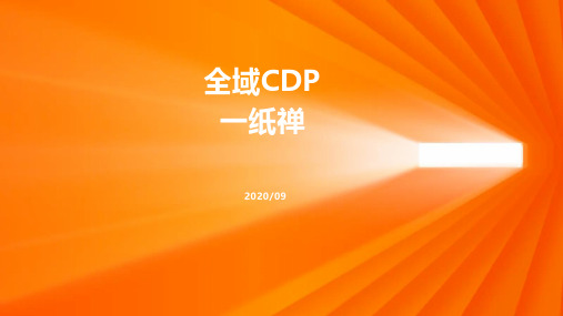 全域CDP-一纸禅