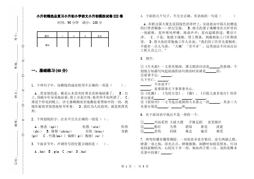 小升初精选总复习小升初小学语文小升初模拟试卷III卷