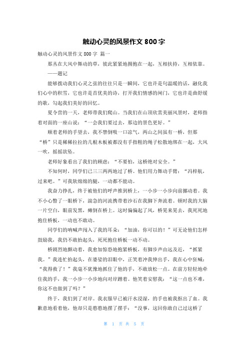触动心灵的风景作文800字