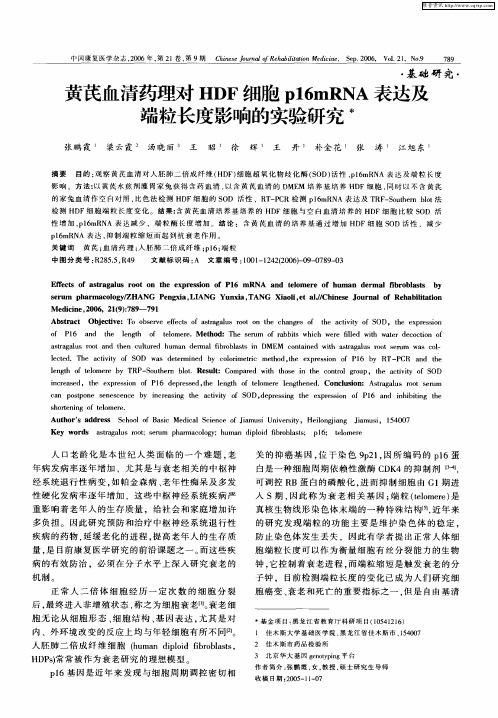 黄芪血清药理对HDF细胞p16mRNA表达及端粒长度影响的实验研究