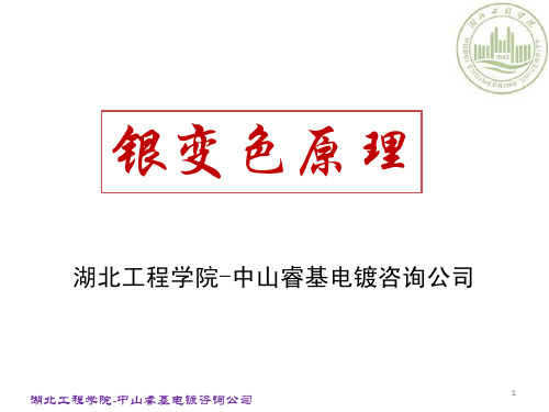 银变色原理(湖北工程学院-中山睿基)