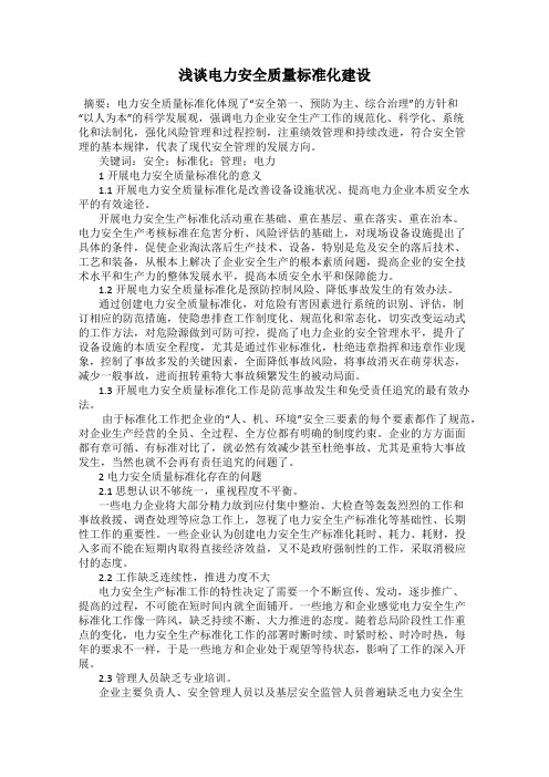 浅谈电力安全质量标准化建设