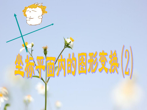 坐标平面内的图形变换PPT教学课件