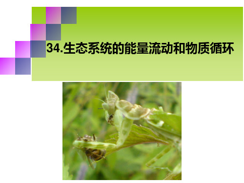 34 能量流动和物质循环