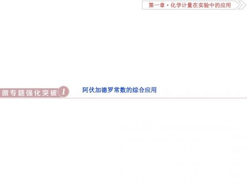 2019高考人教化学一轮精选课件：第一章 化学计量在实验中的应用 微专题强化突破1