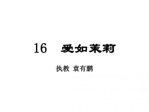 17 爱如茉莉
