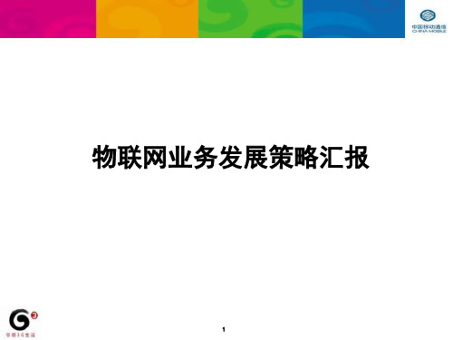 物联网业务发展策略汇报(PPT 43页)