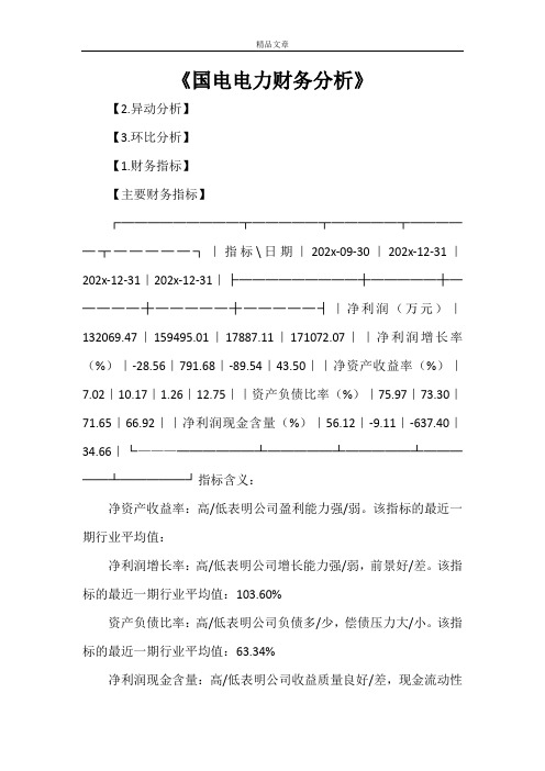 《国电电力财务分析》