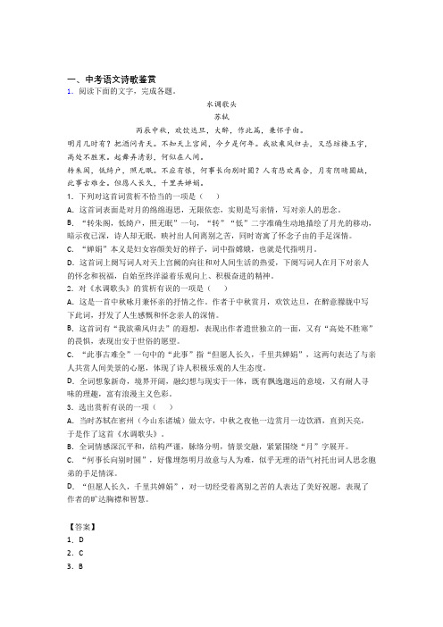 中考语文压轴题专题复习——诗歌鉴赏的综合附答案