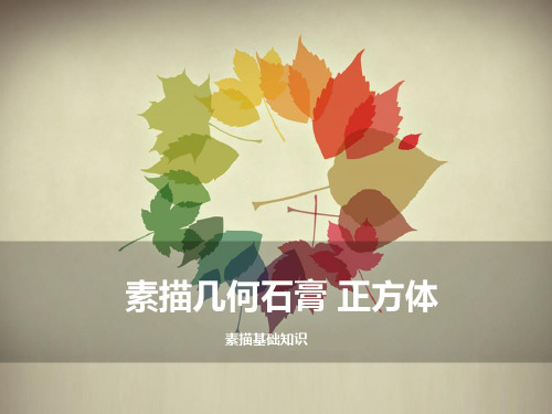 素描几何初学课程课件 1正方体
