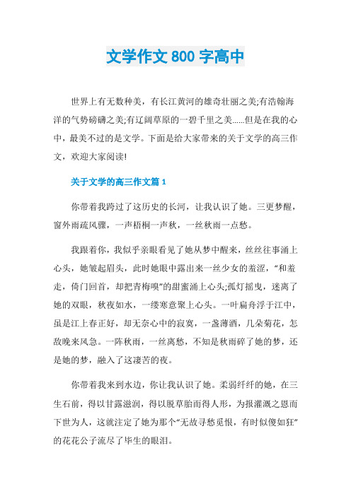 文学作文800字高中