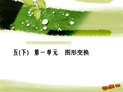 人教版五年级下数学第一到六单元复习重点