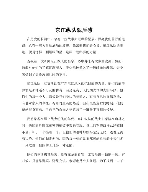 东江纵队观后感