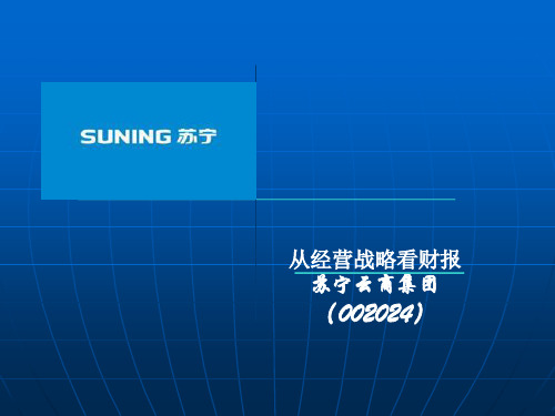 案例：苏宁电器财务报表分析案例
